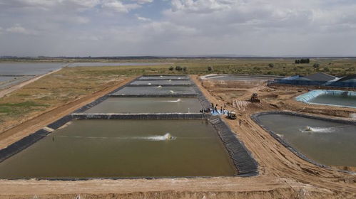 榆林迎小龍蝦上市旺季 水產(chǎn)賦能鄉(xiāng)村振興，畜牧漁業(yè)飼料銷售同步增長